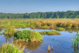 Personal Injury Lawyer Fairfax VA Personal Injury Lawyer Fairfax VA