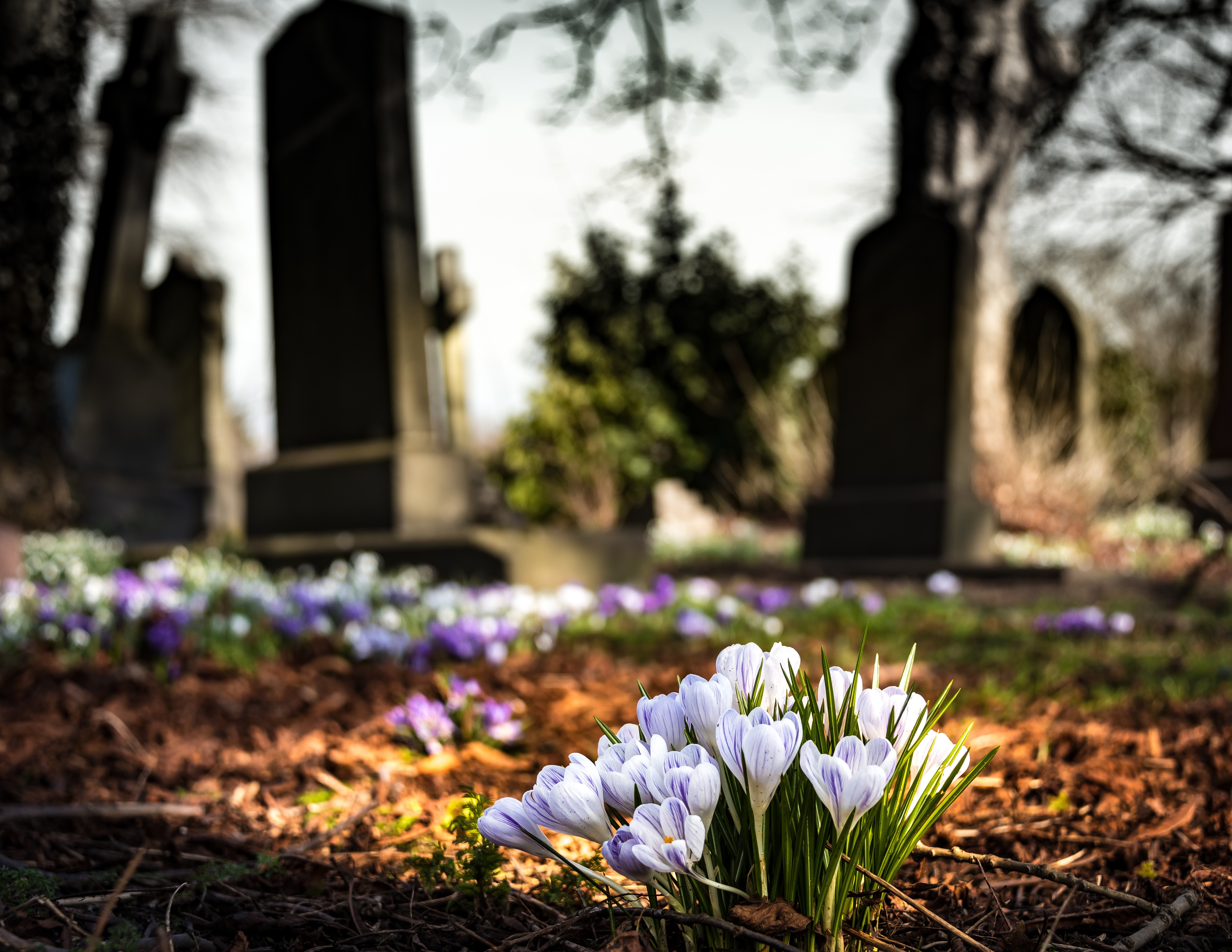 What Exactly Is Wrongful Death?