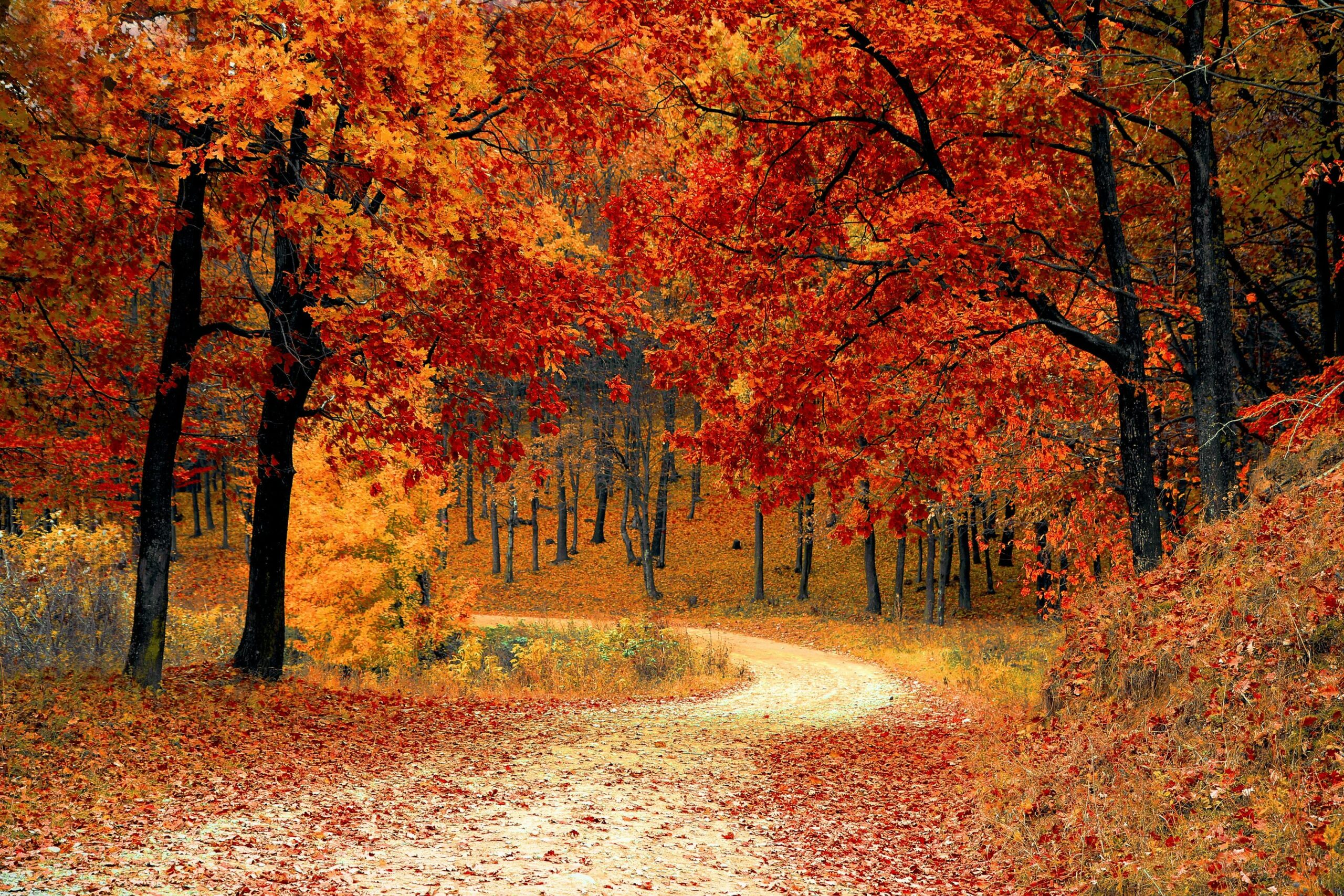 Common Autumn Hazards and How to Protect Yourself