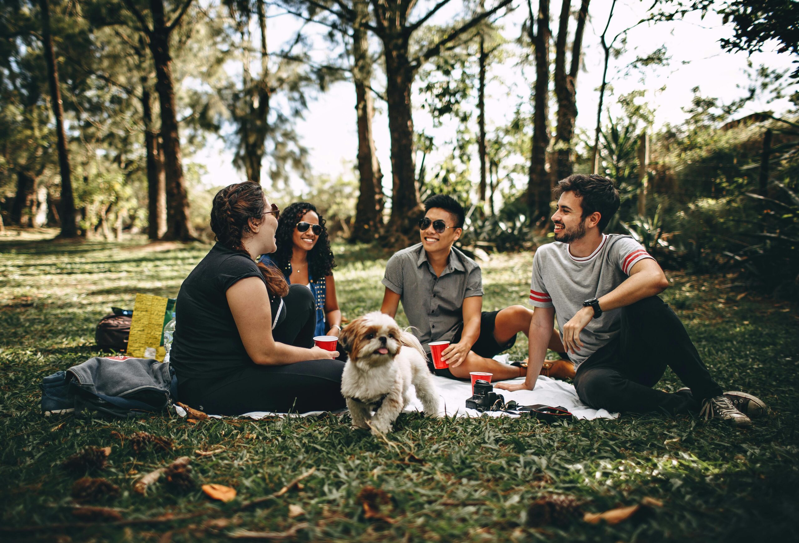 Who’s Responsible If a Dog Attacks You in a Public Park